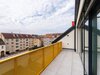 DSC01536.jpg
