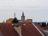 DSC01682.jpg